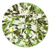 Diament LAB zielony jasny