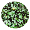Diament LAB zielony ciemny